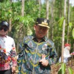 Kepala BPSDMD Provinsi Sulawesi Barat Berpartisipasi dalam Penanaman Pohon di IKN